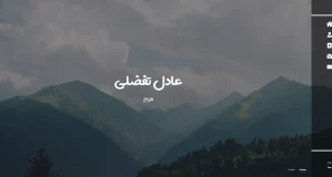 Bilingual personal slide
